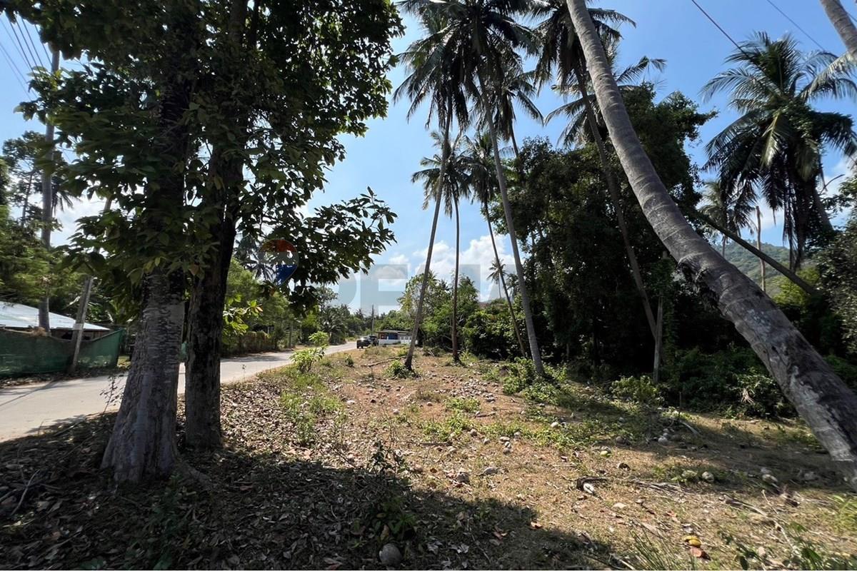 Land - Residential - For Sale - Koh Samui, Surat Thani - S__42606614_0.jpg - 920121030-309