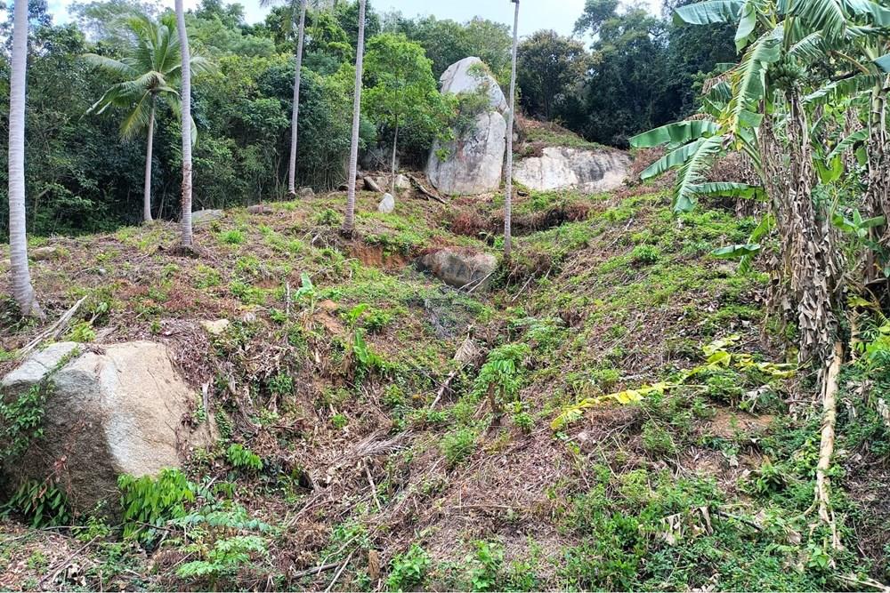 Land - Residential - For Sale - Koh Samui, Surat Thani - WhatsApp Image 2025-09-30 at 15.47.36_2948d2ca.jpg - 920121083-64