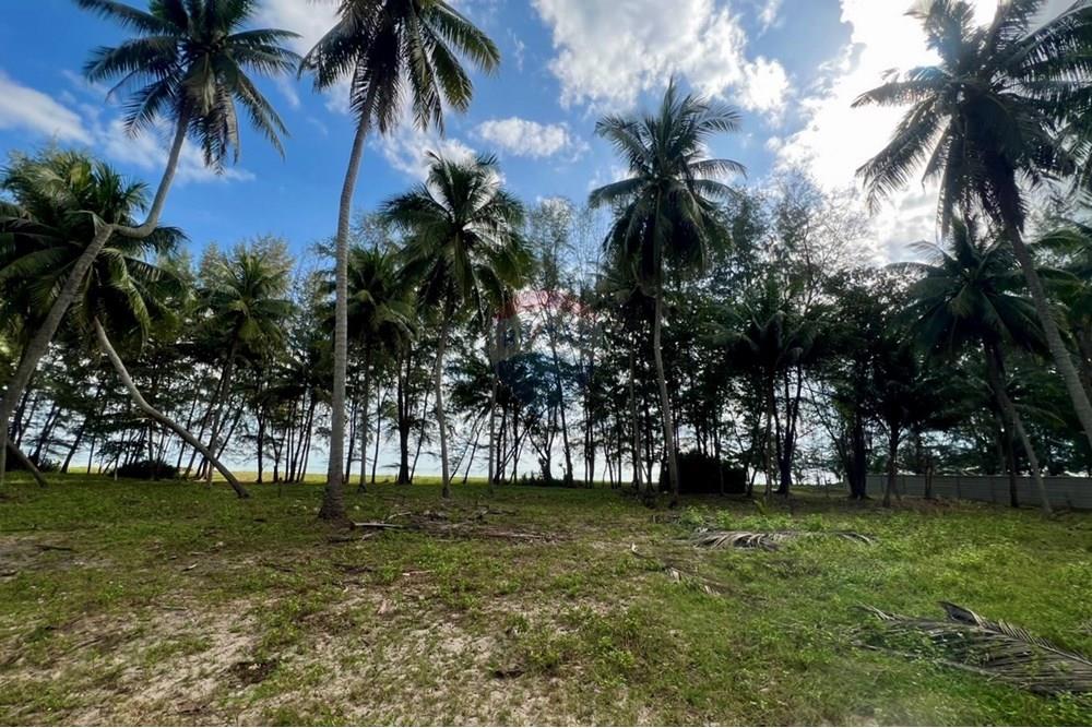 Land - Residential - For Sale - Tha Sala, Nakhon Si Thammarat - S__201138189_0.jpg - 920121030-282