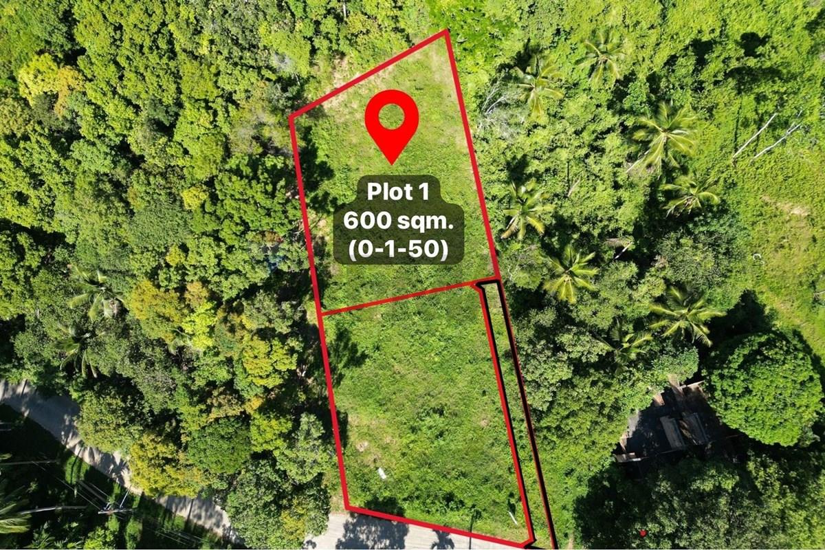 Land - Residential - For Sale - Koh Samui, Surat Thani - WhatsApp Image 2026-05-27 at 12.50.43.jpeg - 920121068-101