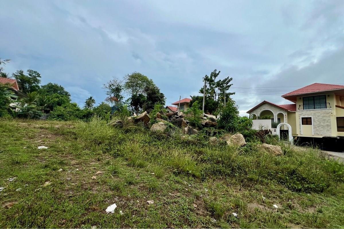 Land - Residential - For Sale - Koh Samui, Surat Thani - S__211918857_0.jpg - 920121030-306