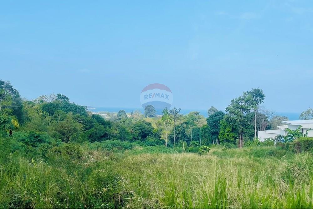 Land - Residential - For Rent/Lease - Koh Samui, Surat Thani - IMG_7062.jpeg - 920121079-50