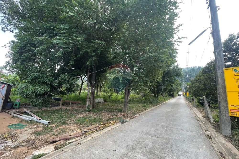Land - Residential - For Sale - Koh Samui, Surat Thani - IMG_3256.jpeg - 920121079-31
