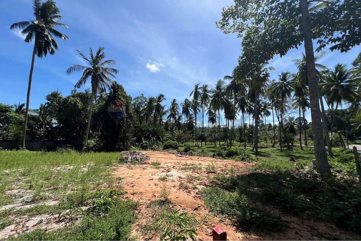Land - Residential - For Sale - Koh Samui, Surat Thani - S__42434577_0.jpg - 920121030-308