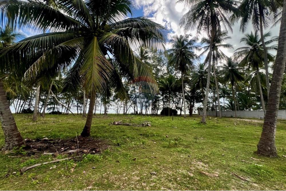 Land - Residential - For Sale - Tha Sala, Nakhon Si Thammarat - S__201138186_0.jpg - 920121030-282
