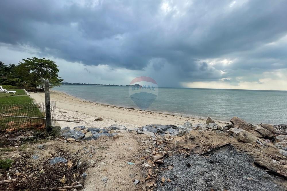 Land - Residential - For Sale - Koh Samui, Surat Thani - IMG_4545.jpeg - 920121079-39