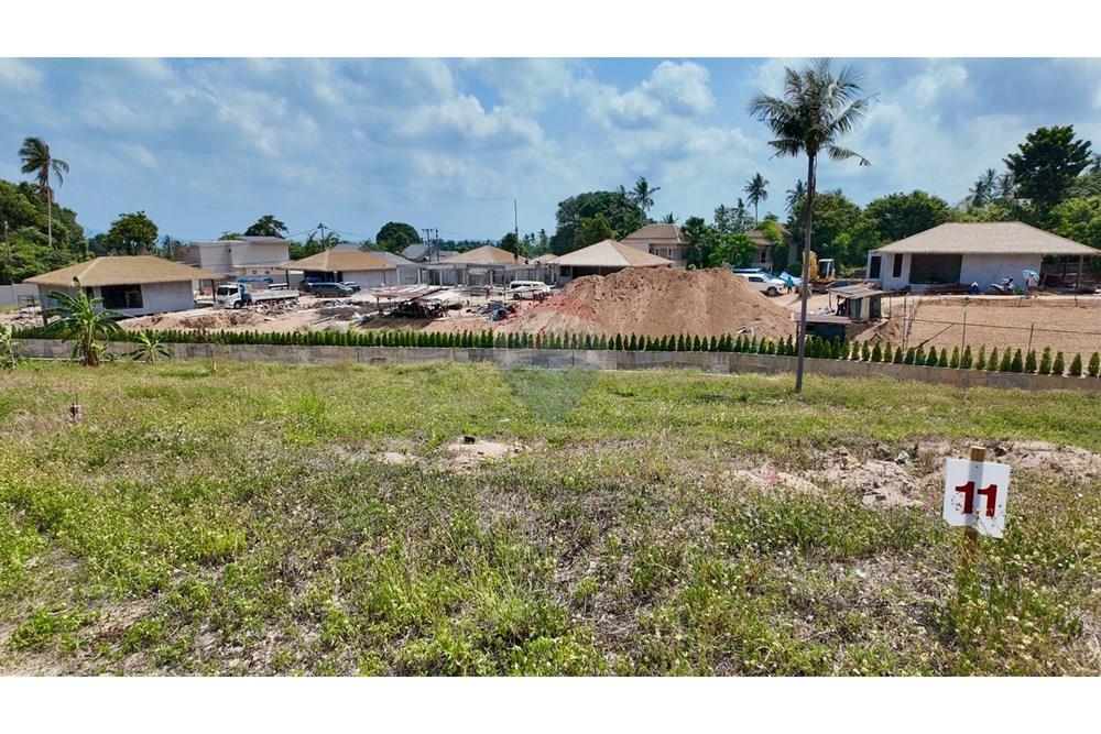 Land - Residential - For Sale - Koh Samui, Surat Thani - Plot   11.jpg - 920121001-3514