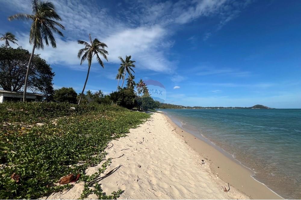 Land - Residential - For Sale - Koh Samui, Surat Thani - S__26820663_0.jpg - 920121030-278