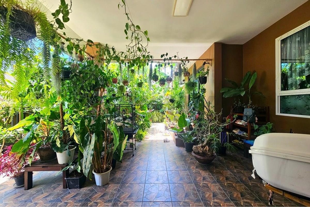 Villa - For Sale - Pran Buri, Prachuap Khiri Khan - 20260620_115429.jpg - 920601001-1182