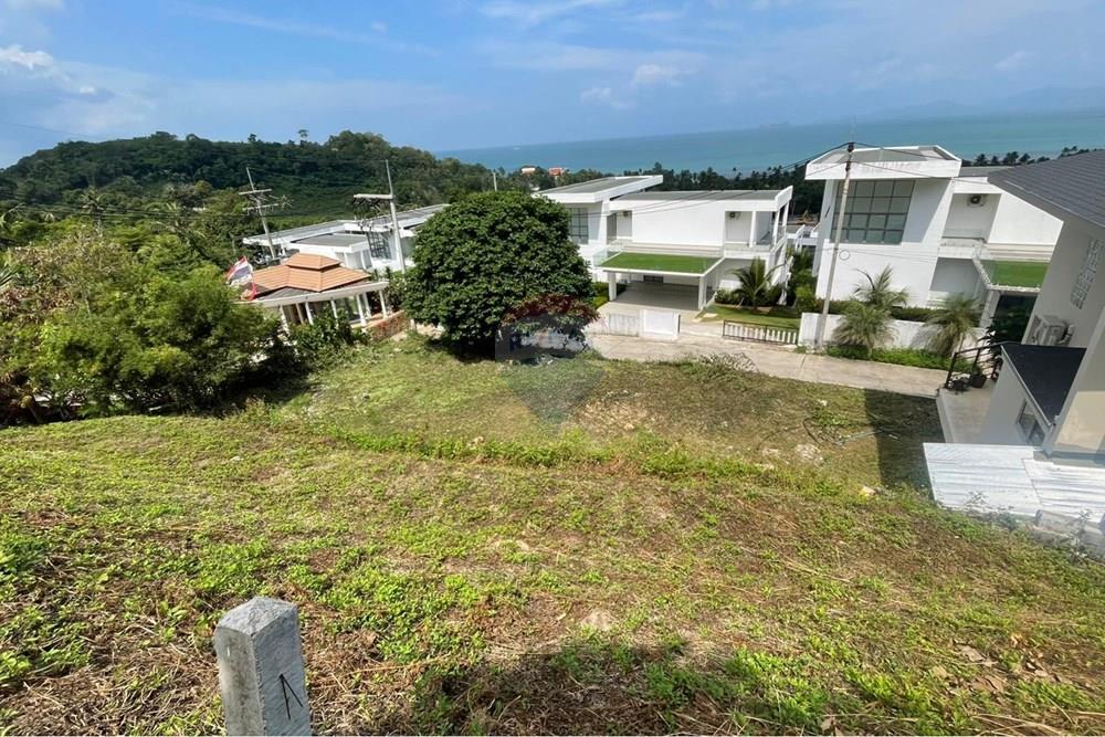 Land - Residential - For Sale - Koh Samui, Surat Thani - WhatsApp Image 2026-01-29 at 12.41.50 PM.jpeg - 920121001-3043