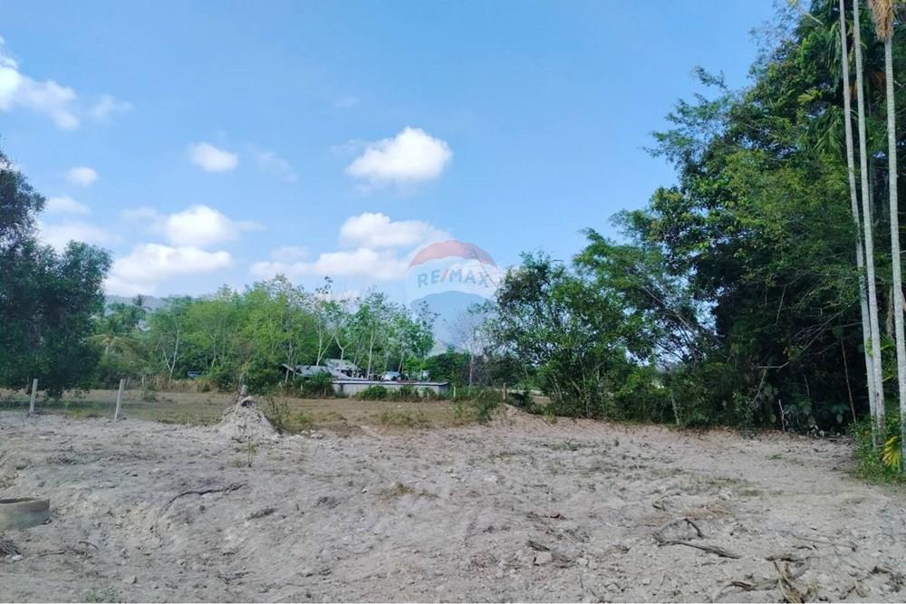 Land - Residential - For Sale - Koh Samui, Surat Thani - 655614_0.jpg - 920121075-106