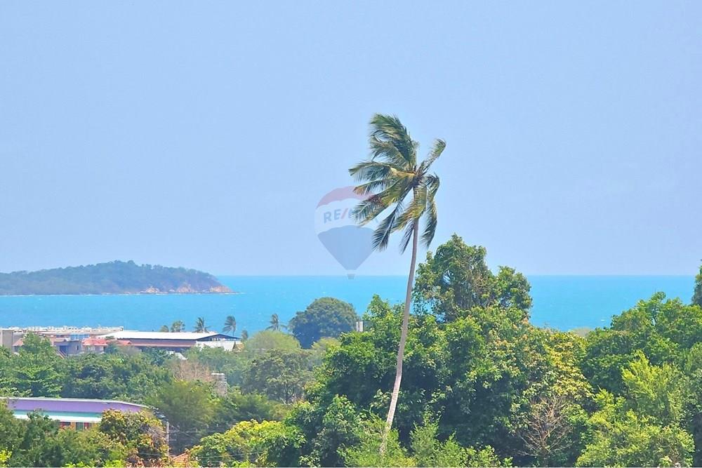 Land - Residential - For Sale - Koh Samui, Surat Thani - 015.jpg - 920121018-329