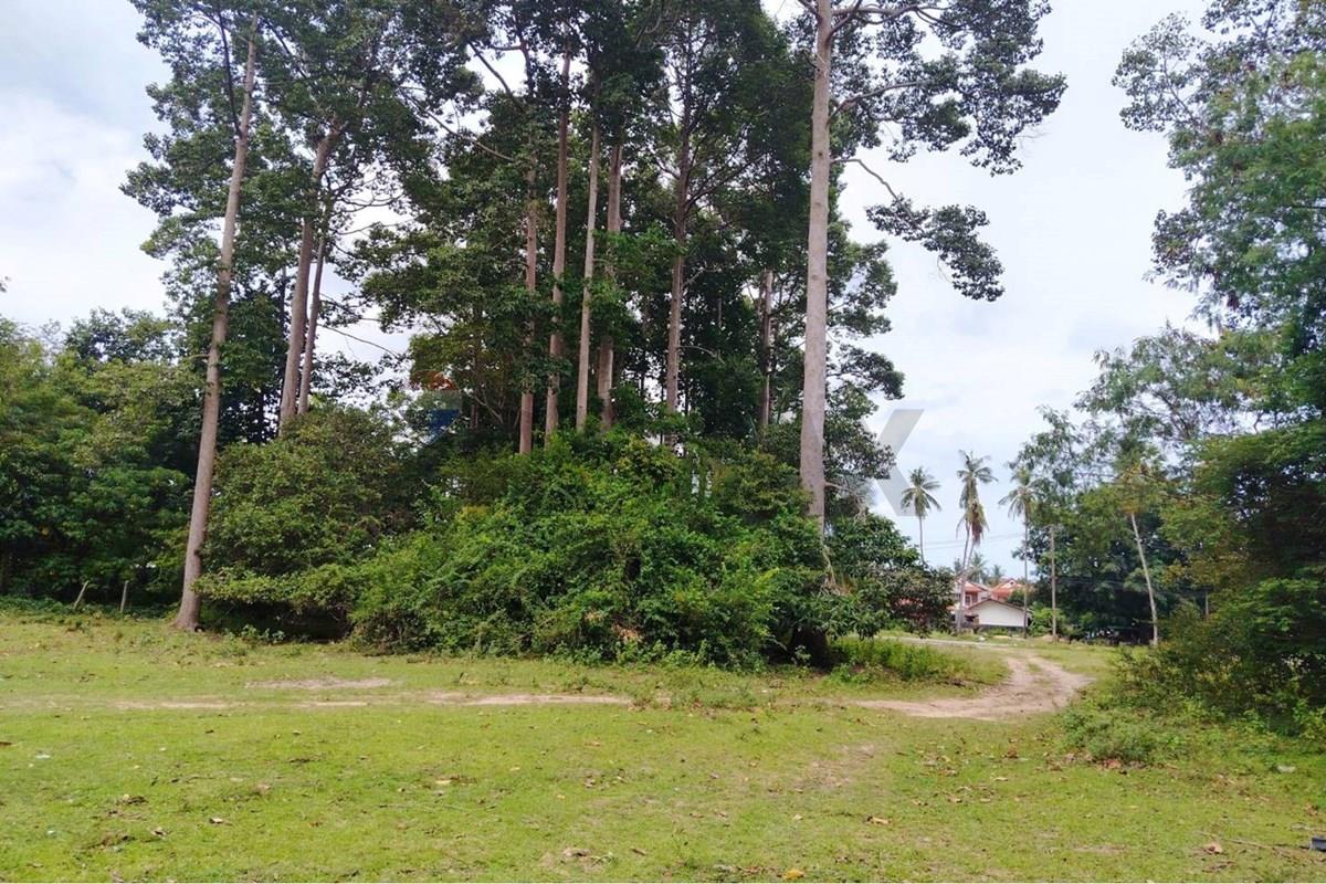 Land - Residential - For Sale - Koh Samui, Surat Thani - 672647_0.jpg - 920121075-110
