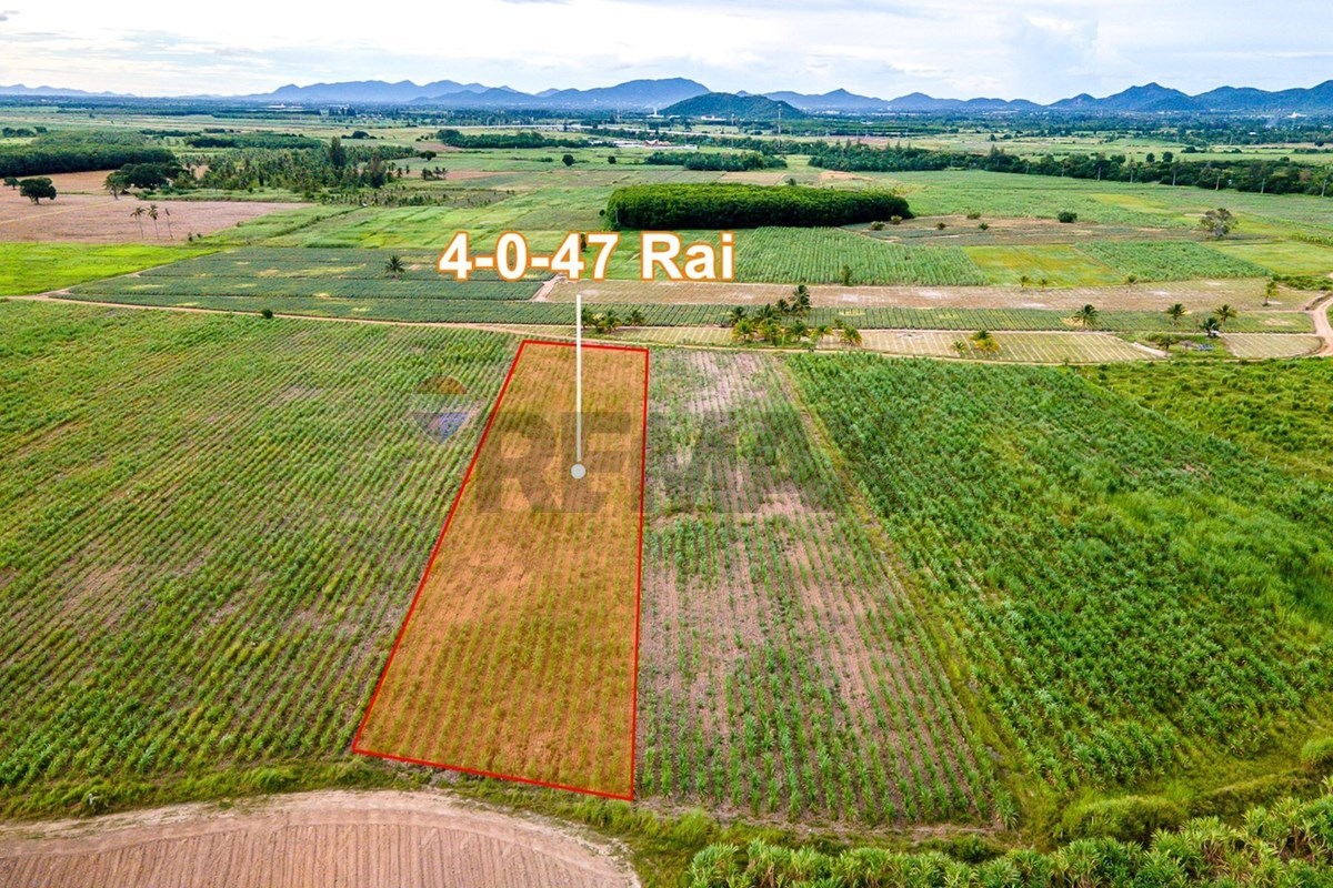 Land - Residential - For Sale - Hua Hin, Prachuap Khiri Khan - 1657190834319.jpg - 920601001-1236