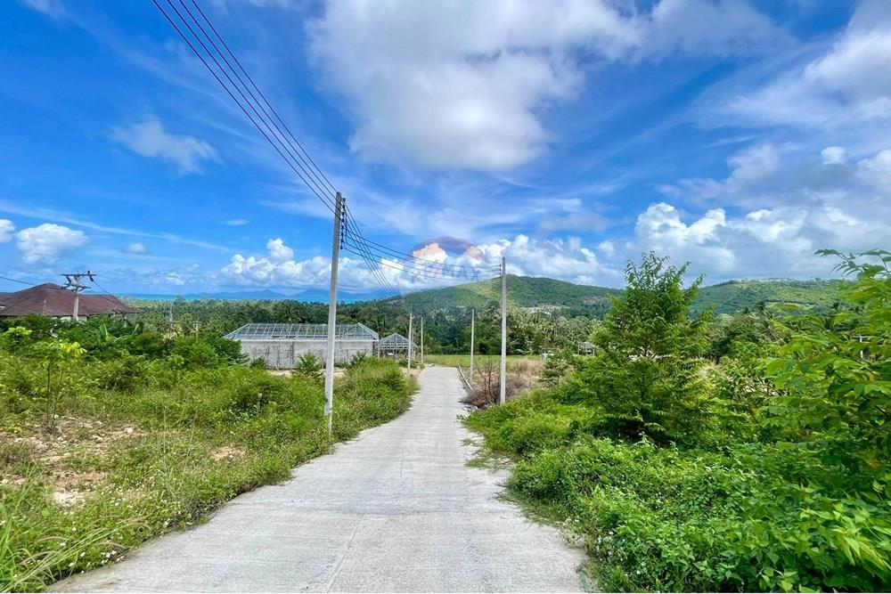 Land - Residential - For Sale - Koh Samui, Surat Thani - IMG-20251117-WA0007.jpg - 920121068-78