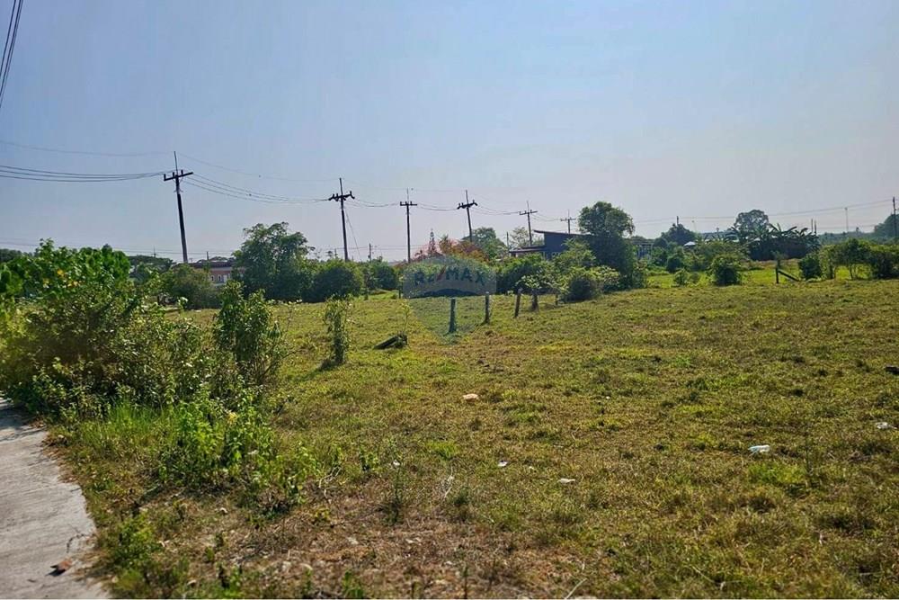 Land - Residential - For Sale - Tha Sala, Nakhon Si Thammarat - S__209100805_0.jpg - 920121030-302