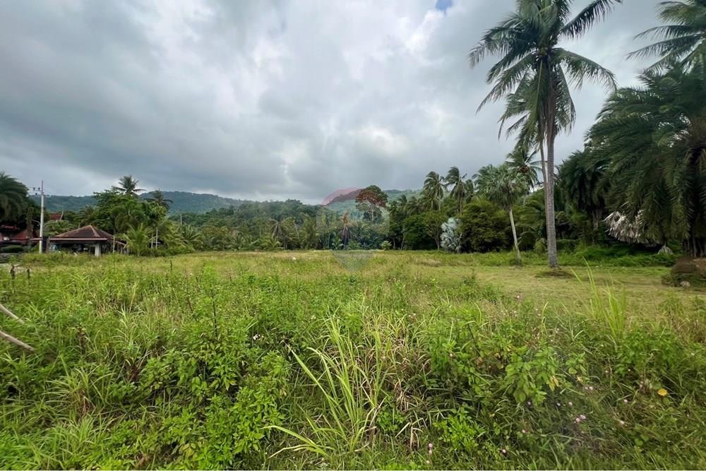 Land - Residential - For Sale - Koh Samui, Surat Thani - S__206528526_0.jpg - 920121030-297