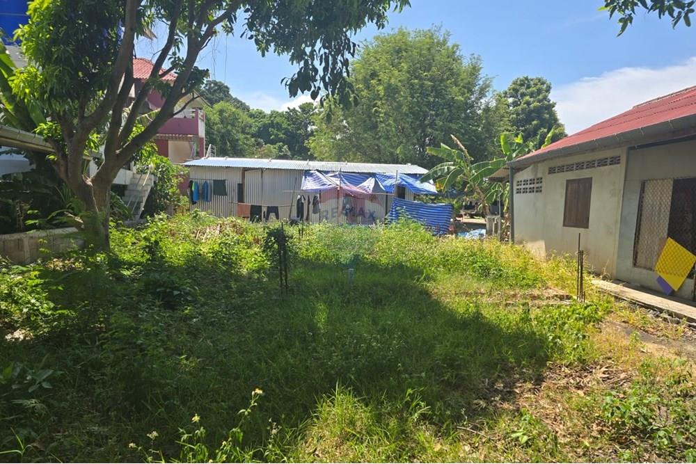 Land - Residential - For Sale - Koh Samui, Surat Thani - IMG-20250910-WA0017.jpg - 920121057-162