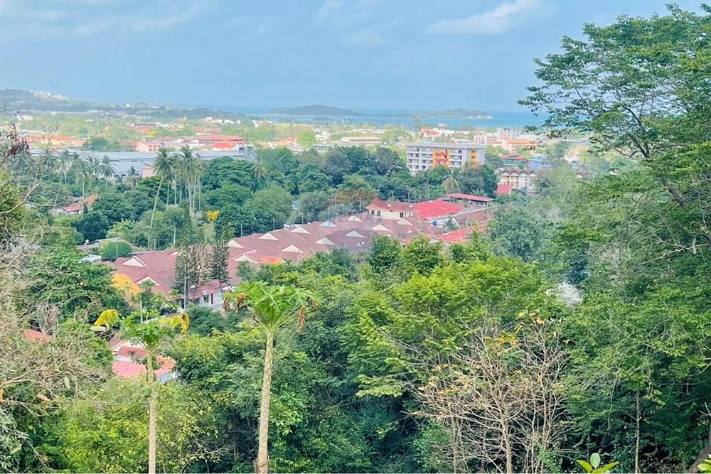 Land - Residential - For Rent/Lease - Koh Samui, Surat Thani - IMG_5794.jpeg - 920121079-45