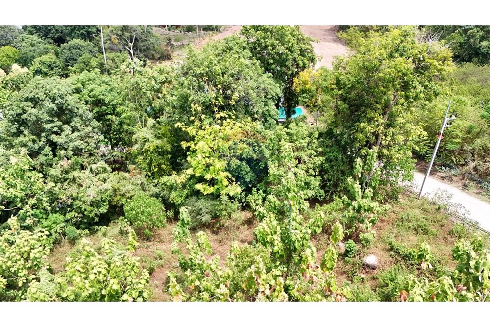 Land - Residential - For Sale - Koh Samui, Surat Thani - DJI_20251003125125_0180_D.JPG - 920121075-98