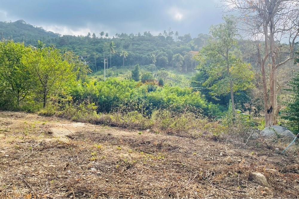Land - Residential - For Rent/Lease - Koh Samui, Surat Thani - IMG_5791.jpeg - 920121079-45