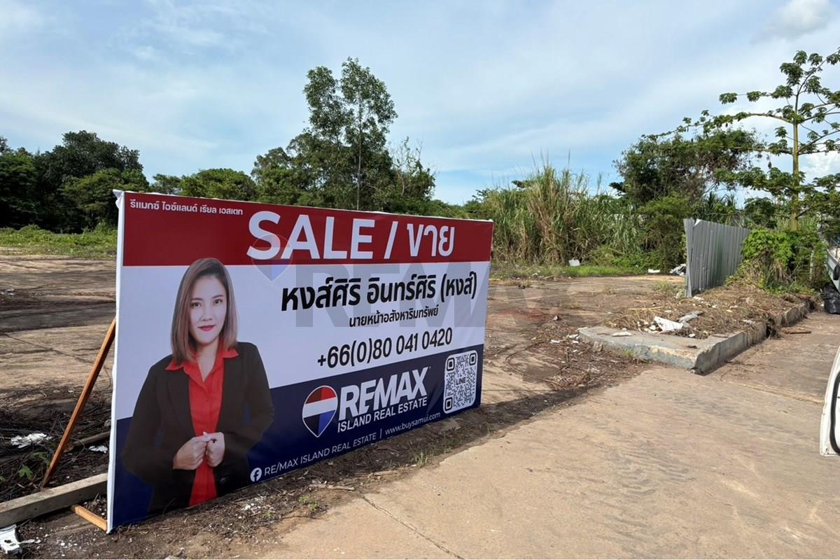 Land - Residential - For Sale - Mueang Surat Thani, Surat Thani - messageImage_1781953053912_0.jpg - 920121001-3554