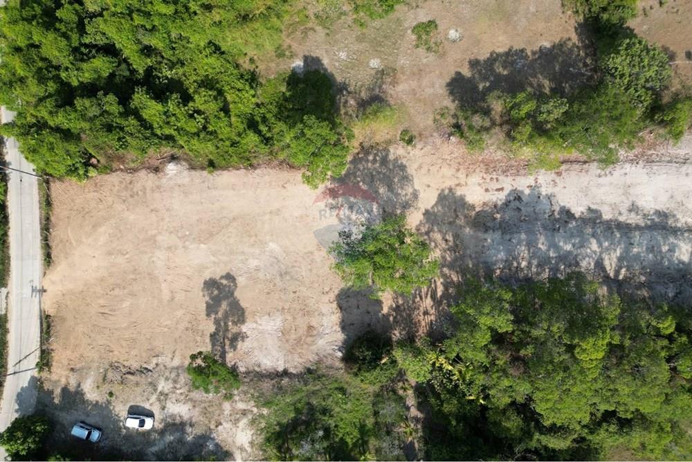 Land - Residential - For Sale - Koh Samui, Surat Thani - 655568_0.jpg - 920121075-106