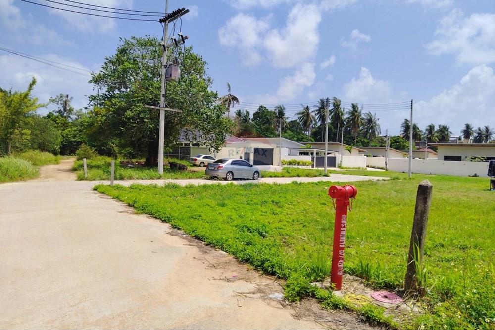 Land - Residential - For Sale - Koh Samui, Surat Thani - 640585_0.jpg - 920121075-96