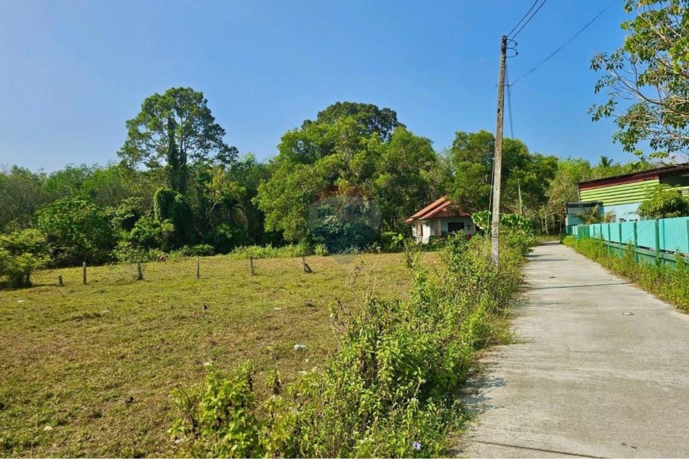 Land - Residential - For Sale - Tha Sala, Nakhon Si Thammarat - S__209100808_0.jpg - 920121030-302