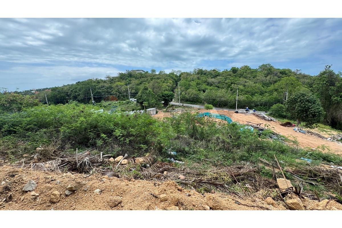 Land - Residential - For Sale - Koh Samui, Surat Thani - IMG_7842.JPG - 920121077-31