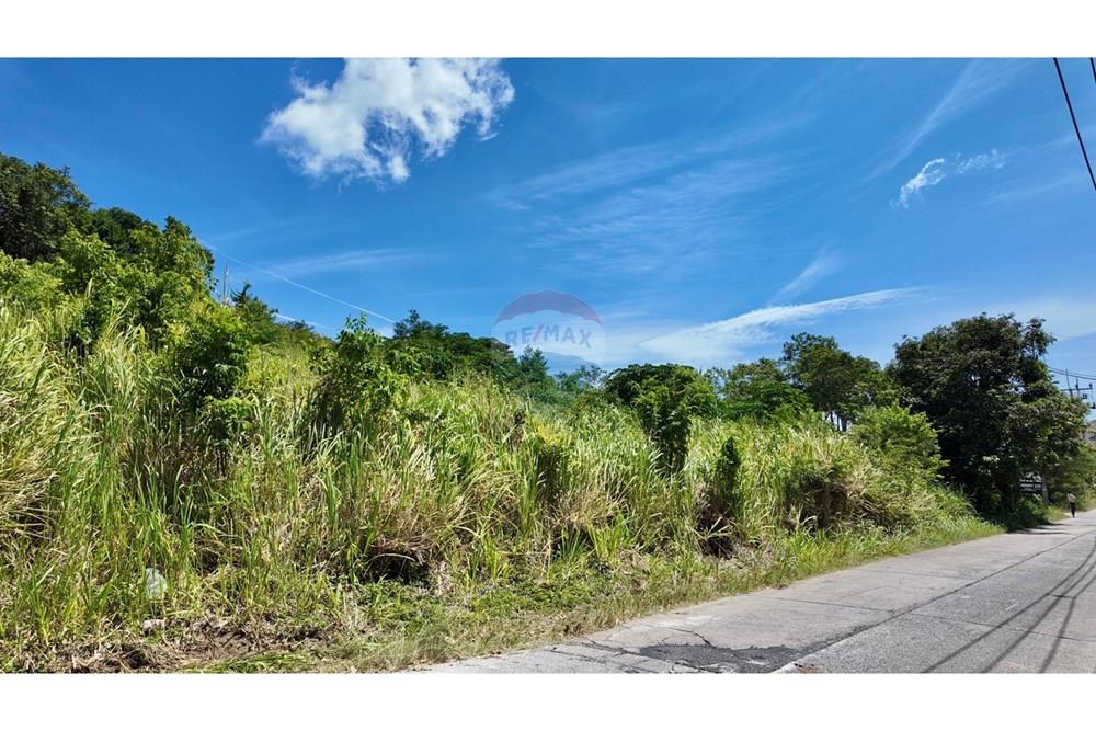Land - Residential - For Sale - Koh Samui, Surat Thani - IMG_4869.JPG - 920121077-14