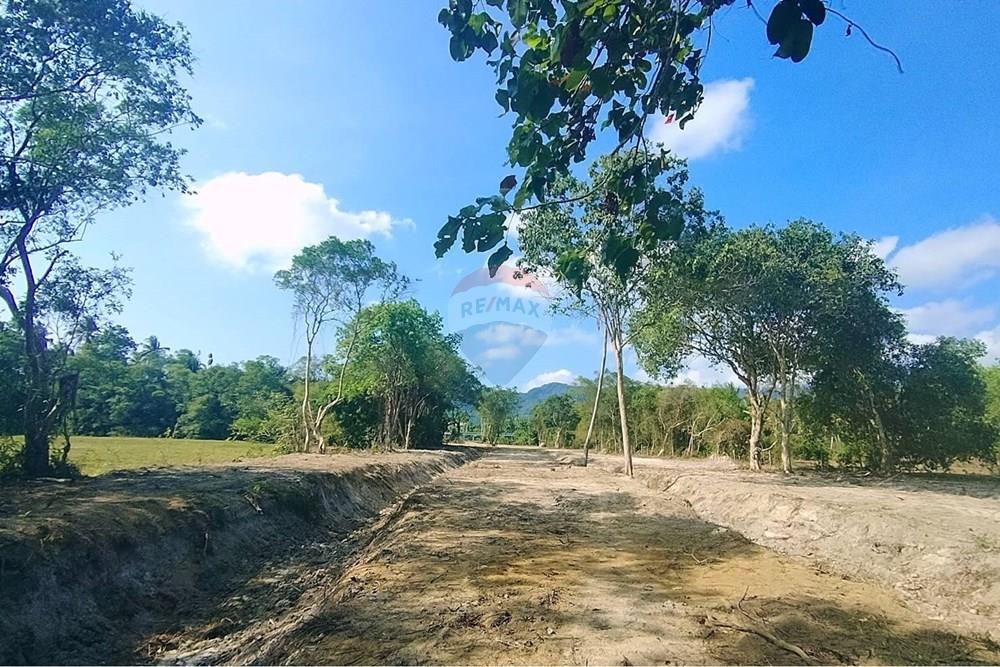 Land - Residential - For Sale - Koh Samui, Surat Thani - 655596_0.jpg - 920121075-106