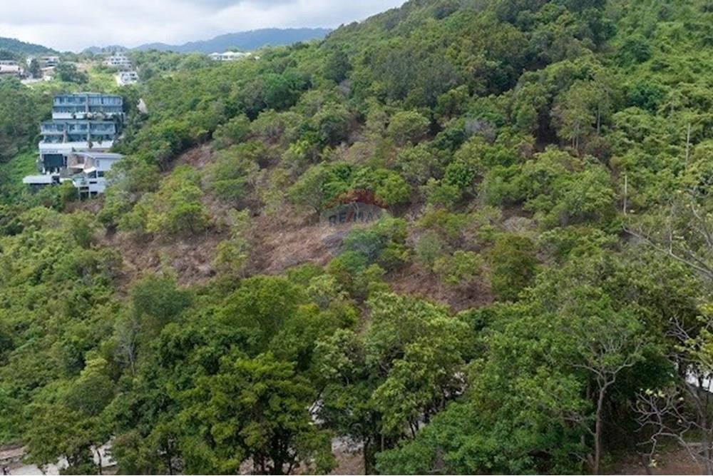 ที่ดินสำหรับอยู่อาศัย - ขาย - เกาะสมุย, สุราษฎร์ธานี - S__186310706_0.jpg - 920121077-18