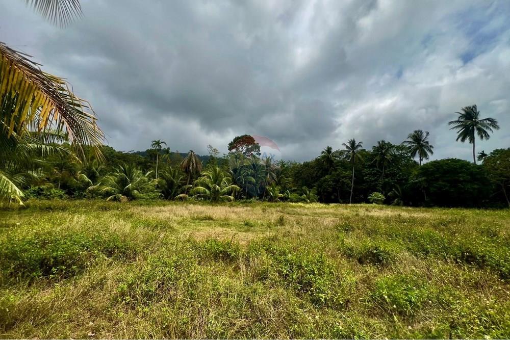 Land - Residential - For Sale - Koh Samui, Surat Thani - S__206528528_0.jpg - 920121030-297
