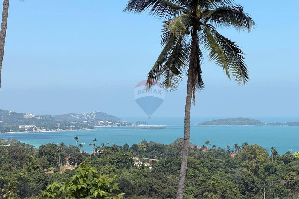 Land - Residential - For Sale - Koh Samui, Surat Thani - 600157590_10223873042133754_9064469502194390134_n.jpg - 920121018-321