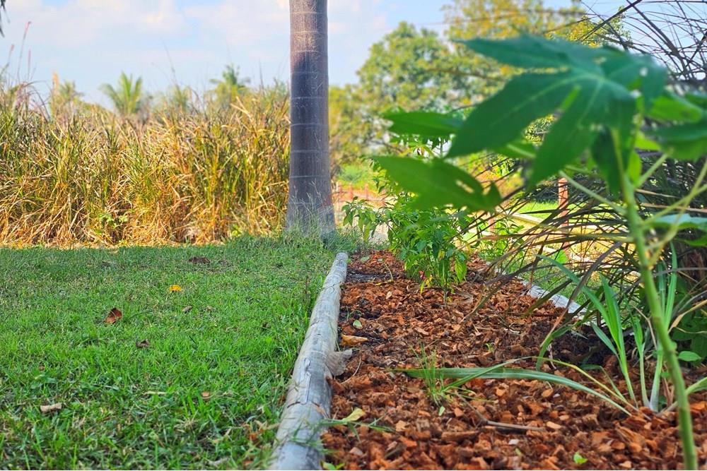 Single House - For Rent/Lease - Cha-Am, Phetchaburi - 20240122_113619.jpg - 920601001-1069