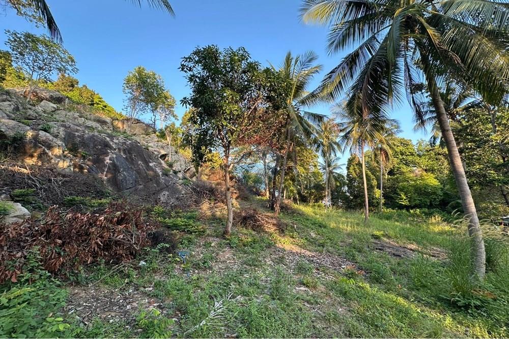 土地 - 出售 - Koh Pha Ngan, Surat Thani - WhatsApp Image 2026-03-13 at 12.04.58.jpeg - 920621004-171