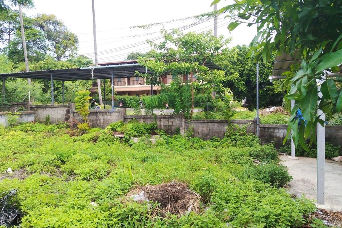 Land - Residential - For Sale - Koh Samui, Surat Thani - 673070_0.jpg - 920121075-112