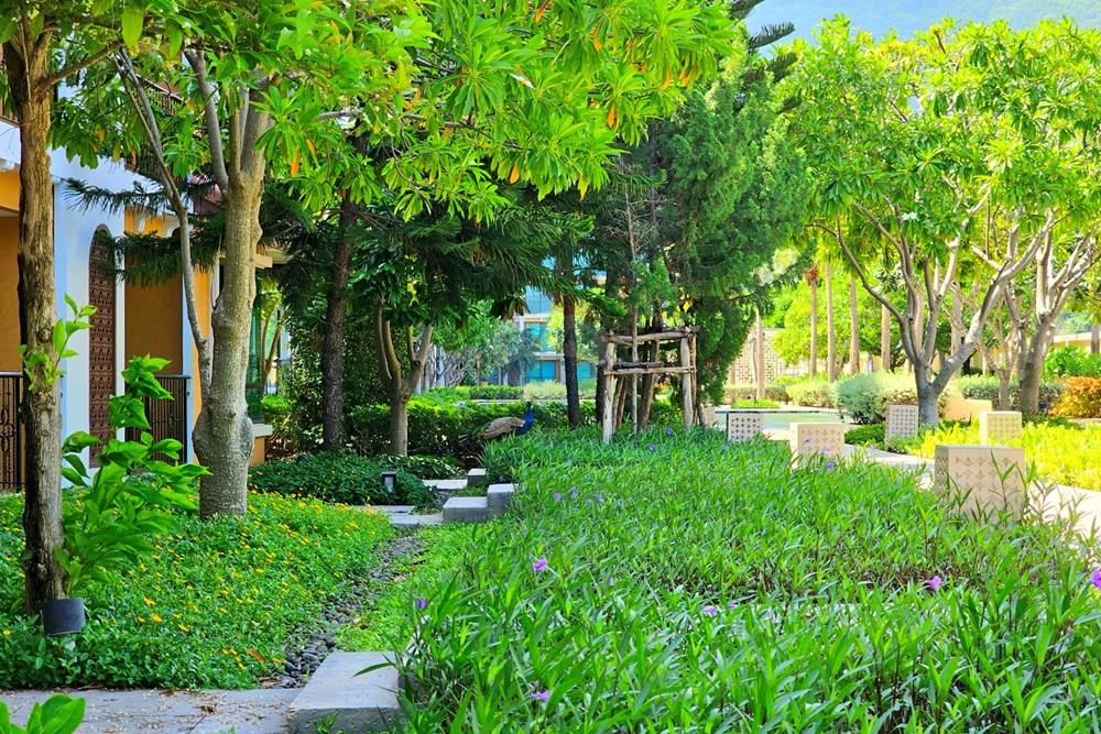 Condo/Apartment - For Rent/Lease - Hua Hin, Prachuap Khiri Khan - 20231101_114802.jpg - 920601001-1134