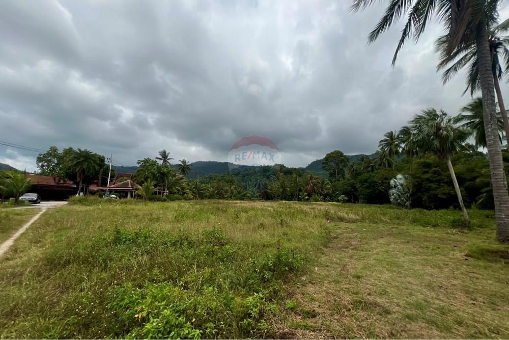 Land - Residential - For Sale - Koh Samui, Surat Thani - S__206528527_0.jpg - 920121030-297