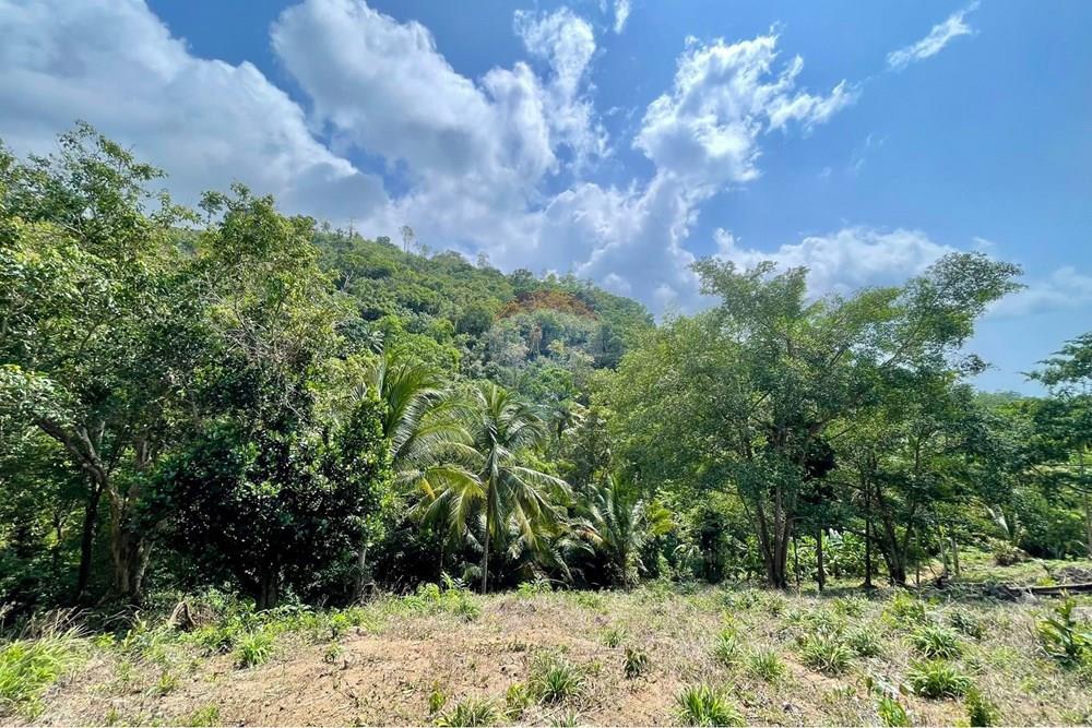 Land - Residential - For Sale - Koh Samui, Surat Thani - WhatsApp Image 2026-03-13 at 22.04.36 (1).jpeg - 920121068-92