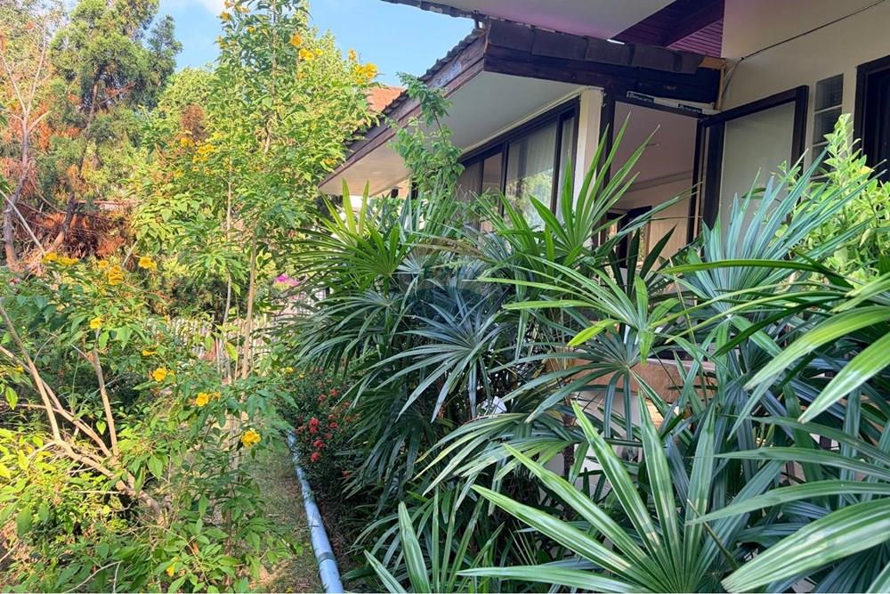 Single House - For Sale - Koh Samui, Surat Thani - WhatsApp Image 2026-04-20 at 5.03.32 PM123.jpeg - 920121057-187