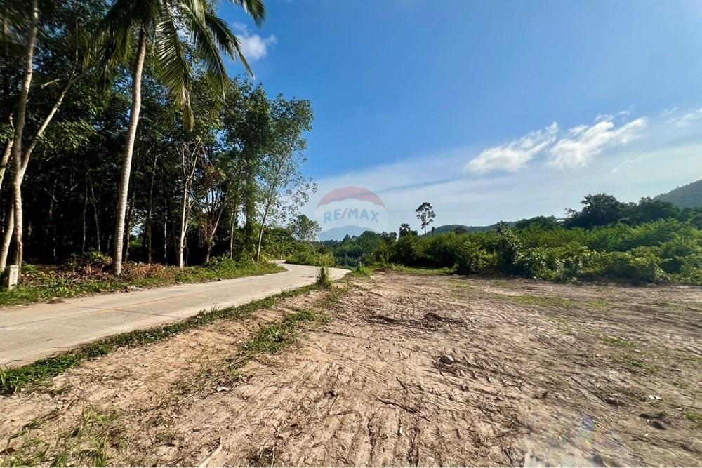 Land - Residential - For Sale - Koh Samui, Surat Thani - S__206618649_0.jpg - 920121030-298