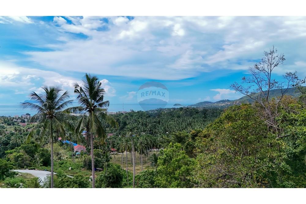 Land - Residential - For Sale - Koh Samui, Surat Thani - Copy of DJI_20251012135817_0041_D.jpg - 920121075-101