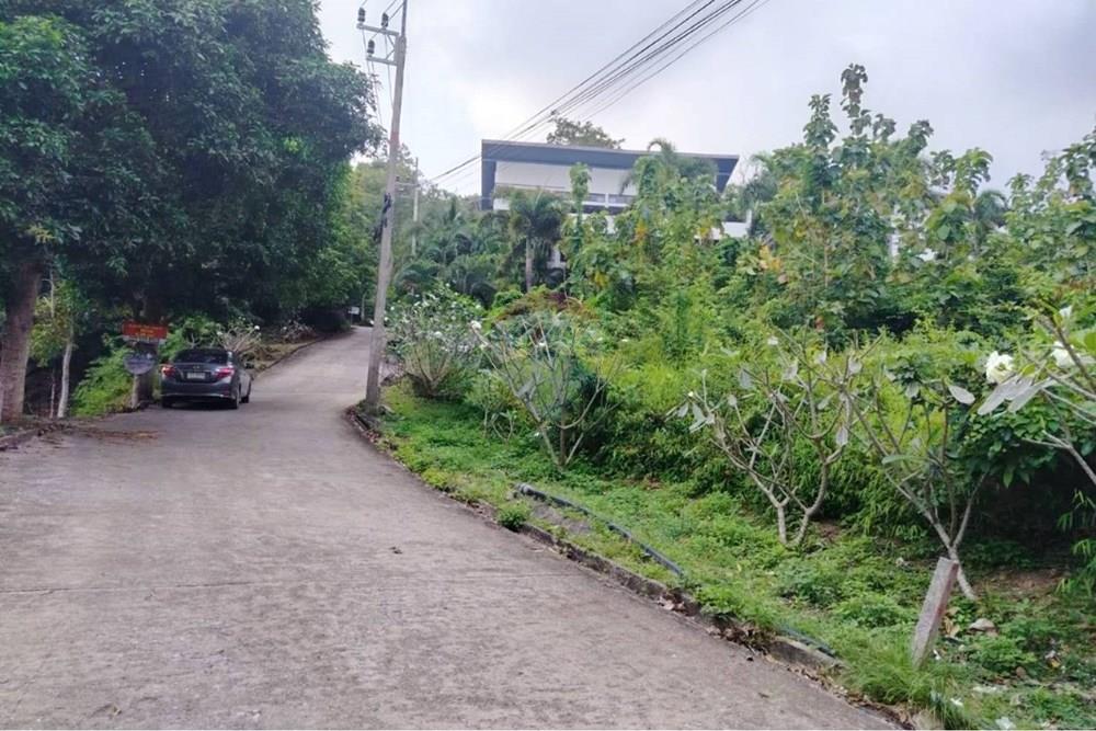Land - Residential - For Sale - Koh Samui, Surat Thani - 642285_1.jpg - 920121075-98