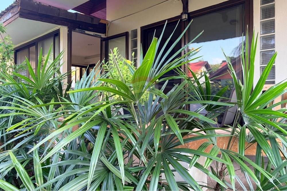 Single House - For Sale - Koh Samui, Surat Thani - WhatsApp Image 2026-04-20 at 5.03.32 PMqwaeklop.jpeg - 920121057-187