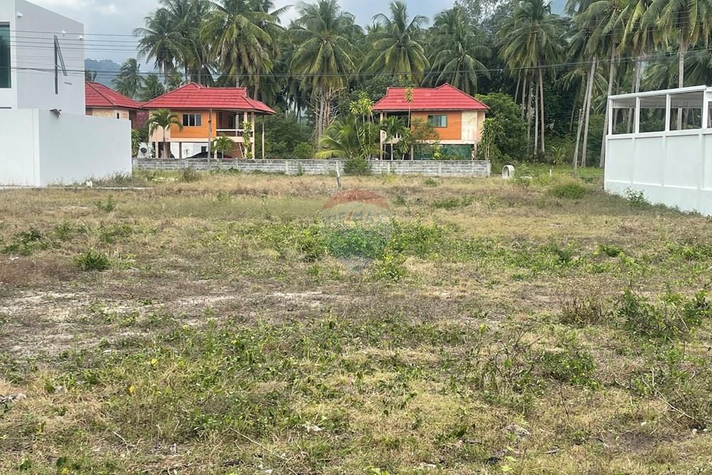 Land - Residential - For Sale - Koh Samui, Surat Thani - IMG_4537.jpeg - 920121079-39